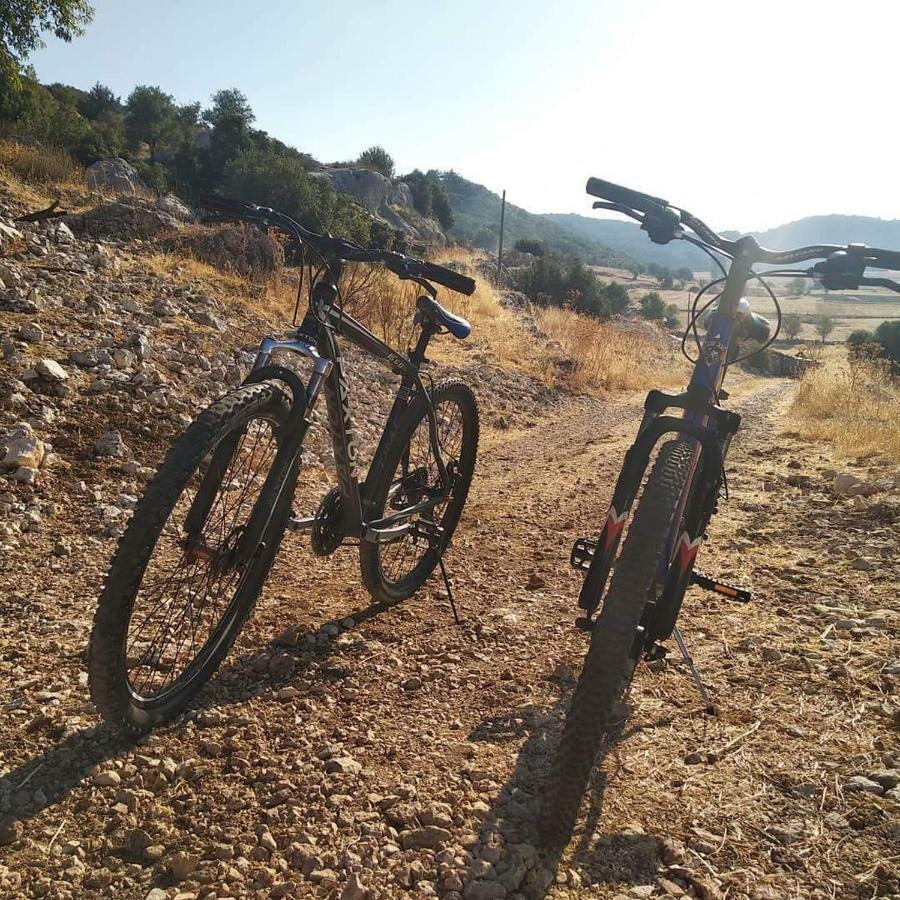 Likya Sup Apart Kaş Exterior photo